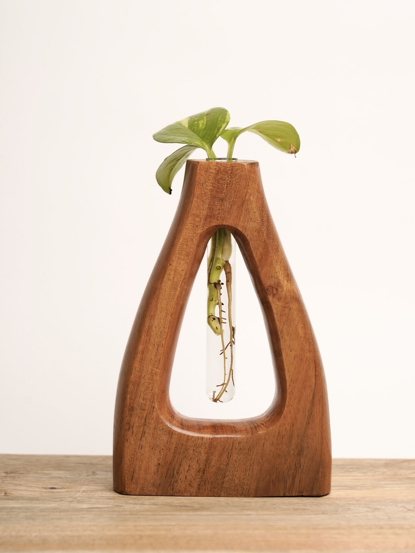 Acacia Wood Vases - Set of 2 - Triangles