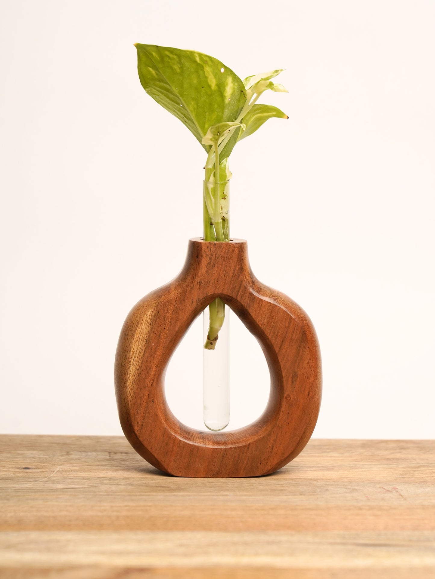 Acacia Wood Vases - Set of 4