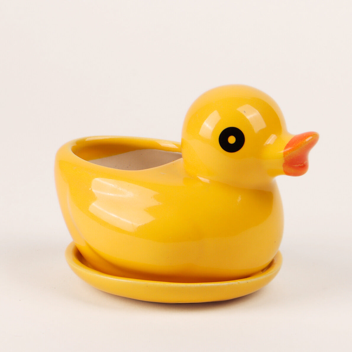 Cute Duck Planter