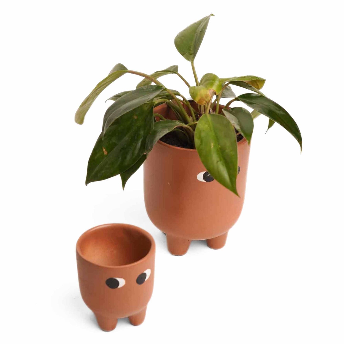 Ma Beta Planters - Set of 2