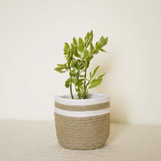 Jute Cotton Planter I Storage Basket