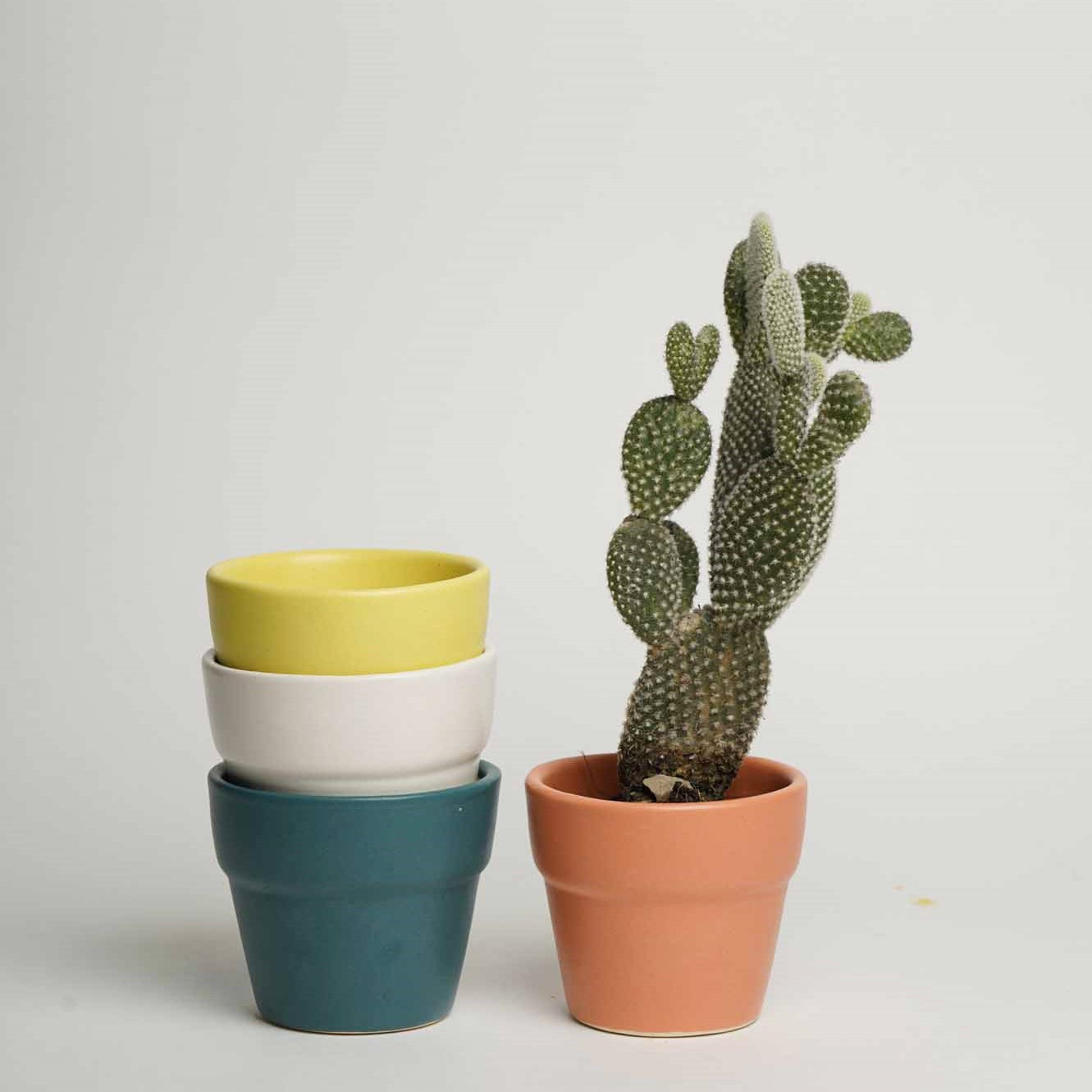 Full of Life Planters - Set of 4