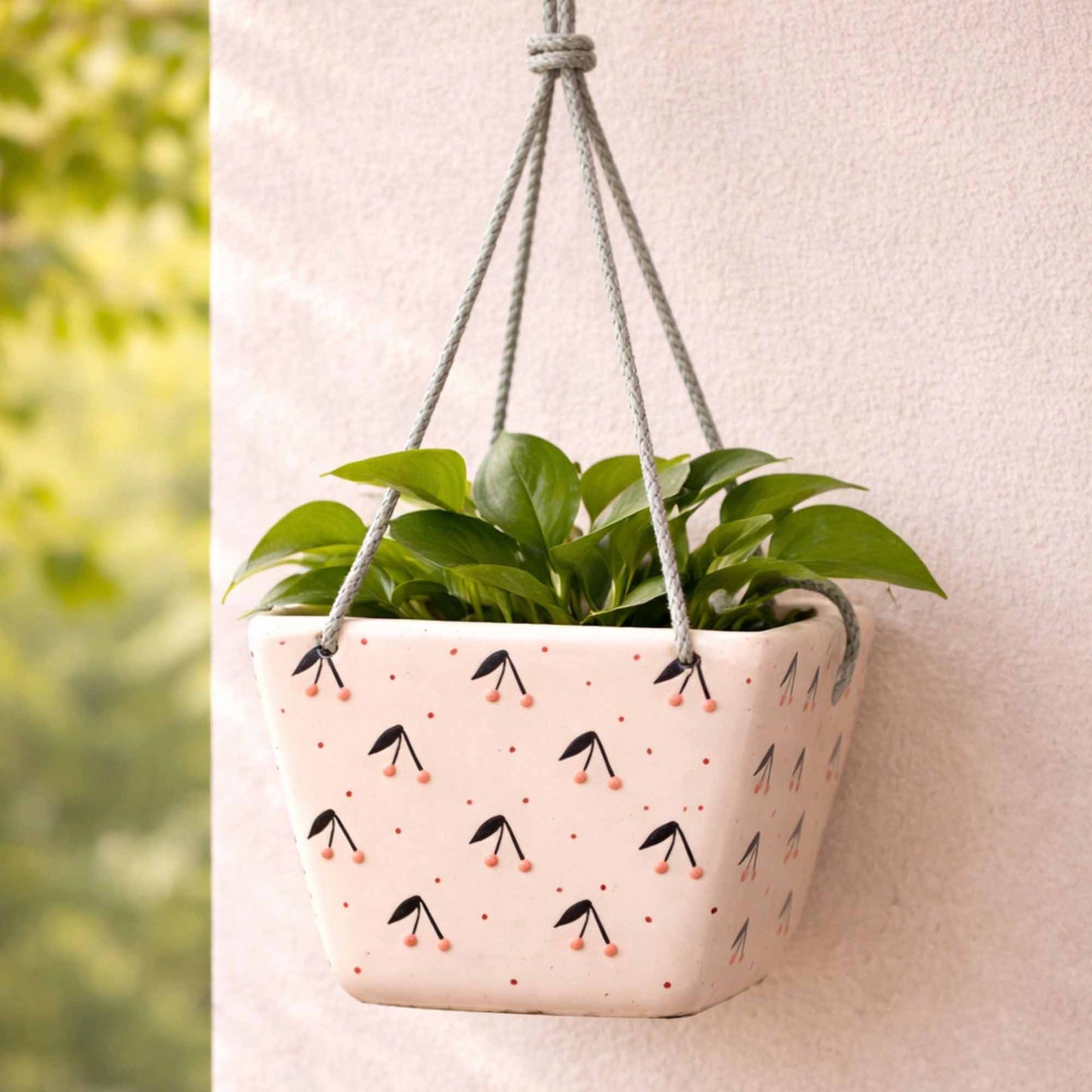 Hanging Planter - Cherry