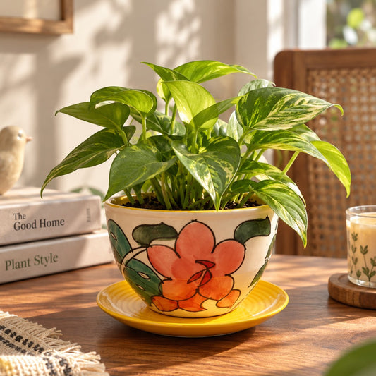 Spring Shades II Planter with Drain Plate