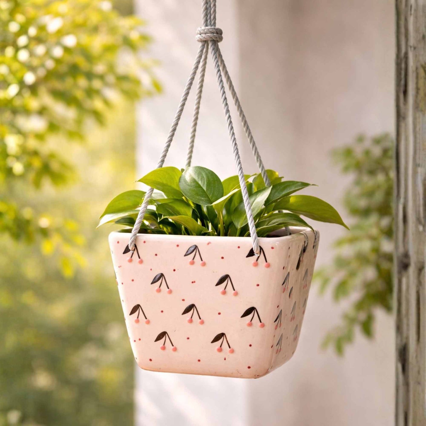 Hanging Planter - Cherry