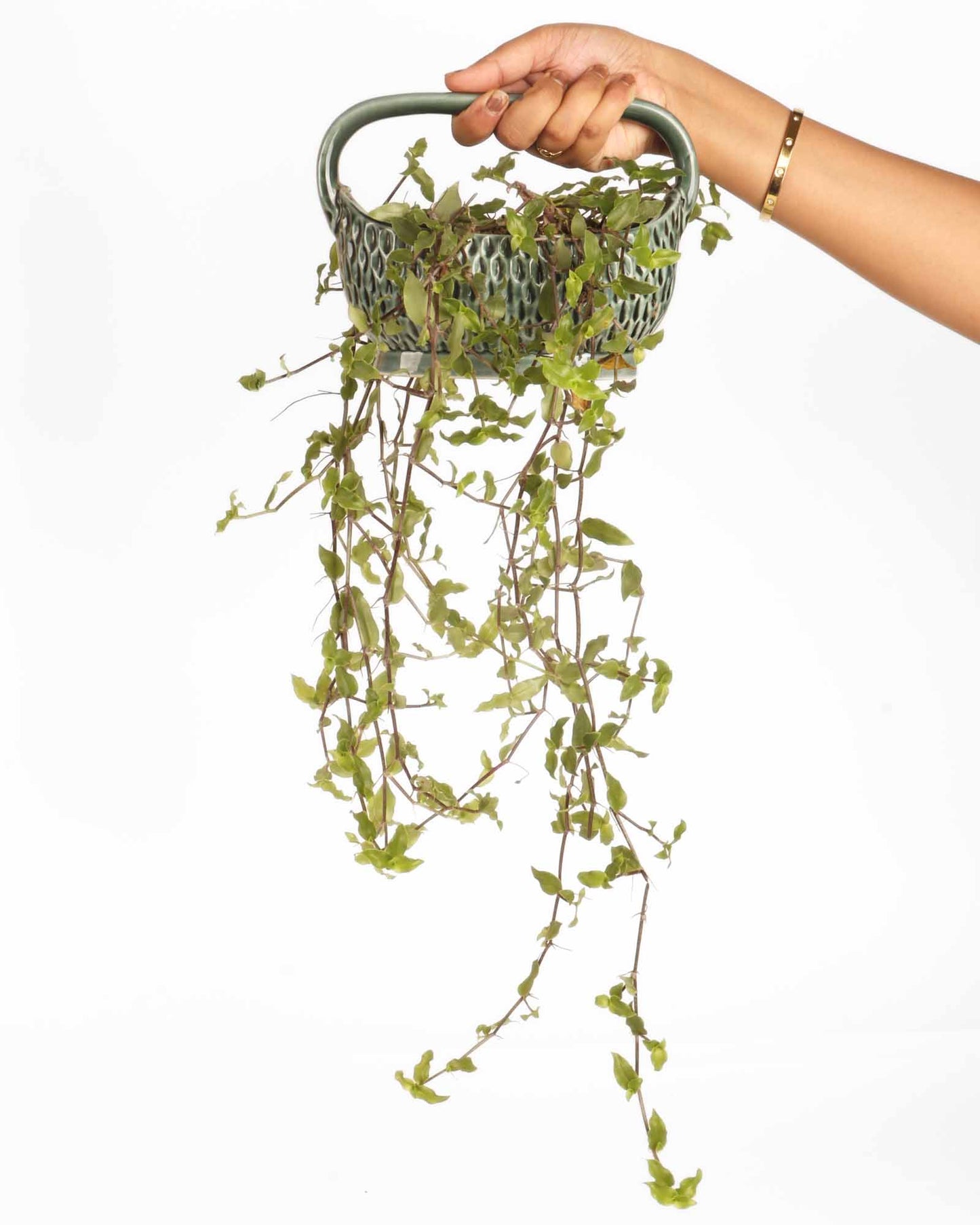 Basket Planter