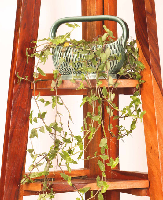 Basket Planter