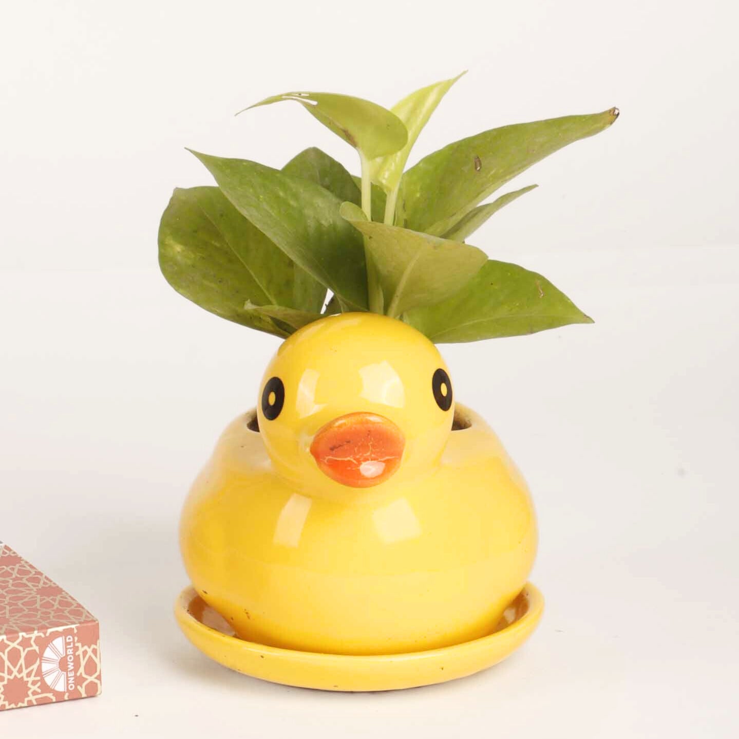 Cute Duck Planter