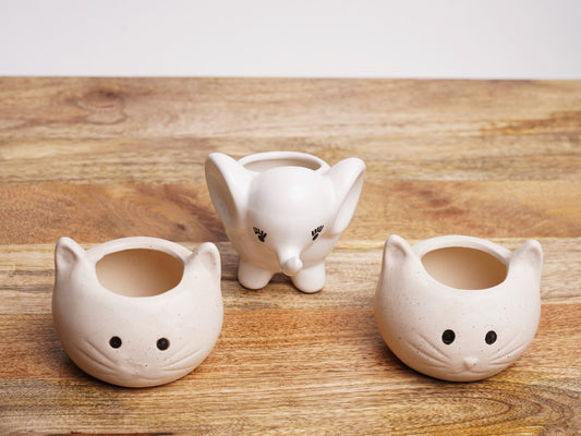 Cute Elephant & Crimsy Planter - Set of 3