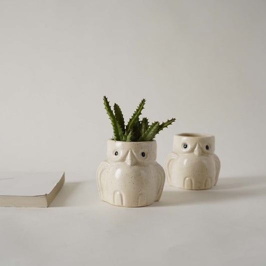 Baby Owls - Set of 2