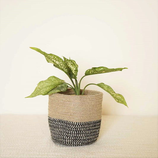 Jute Black Zig-Zag Planter I Storage Basket